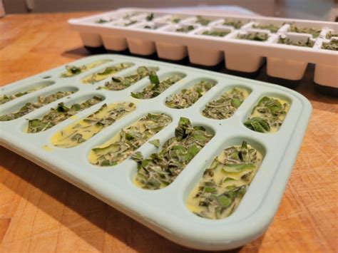 How to Freeze Herbs in Ice Cube Trays: Oil or Water?