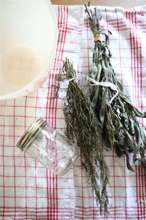 Collecting and Drying Herbs from the Garden — Made on Mill