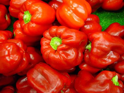 Free picture: bright red, capsicum, vegetable
