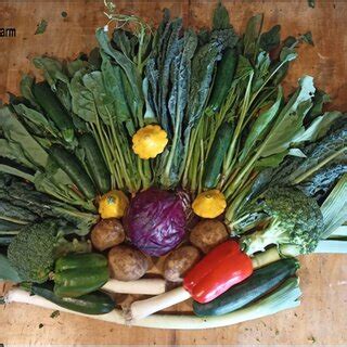 Participant photograph ‘Building a community around food’ | Download ...