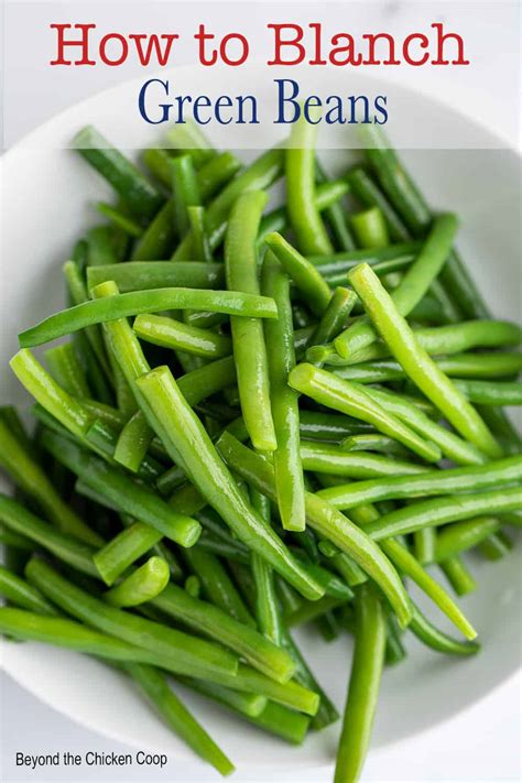 Blanching Green Beans - Beyond The Chicken Coop