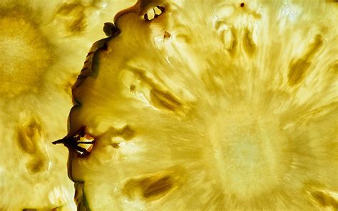 food close-up | macro photography on Behance