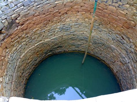 Five Large Open Wells near Madiwala Market – Biome Environmental Trust