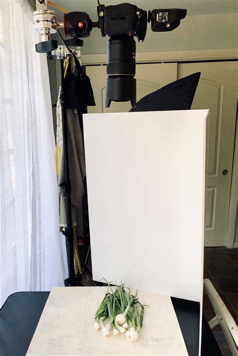 Natural Light Food Photography Tips | Regan Baroni