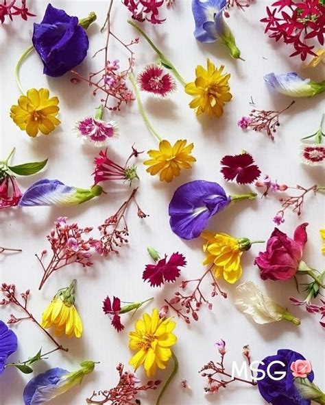 FRESH EDIBLE FLOWERS / GARNISHES, Food &amp; Drinks, Fresh Produce on Carousell