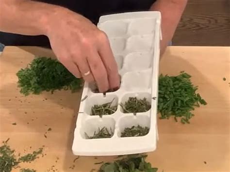 How to Preserve Herbs as Ice Cubes - Very Smart Ideas