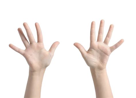 Woman hands up Stock Photos, Royalty Free Woman hands up Images ...