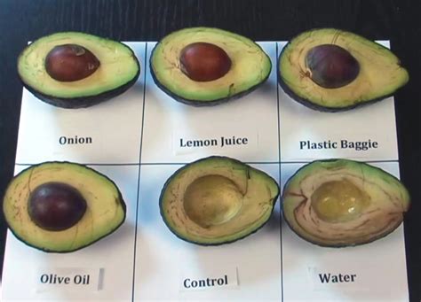 How do foodies prevent soft avocado browning for stunning dishes?