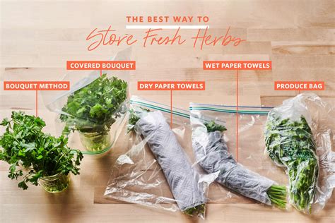 We Tried 5 Methods for Storing Herbs and Found a Clear Winner | The Kitchn