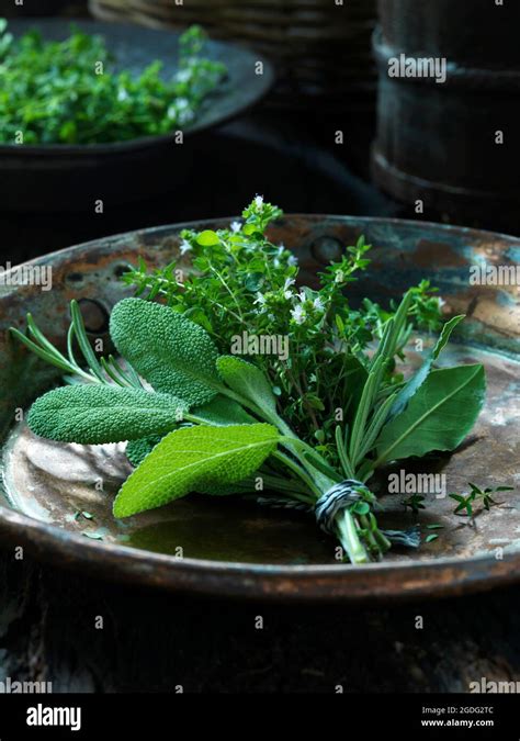 Bouquet Garni fresh herbs Stock Photo - Alamy