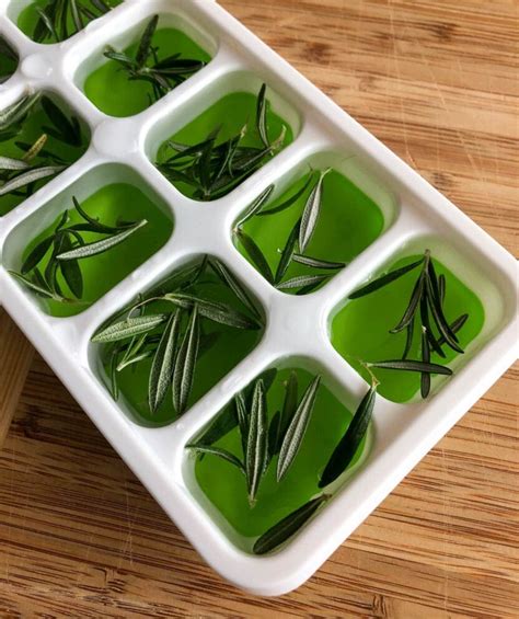 How to Store Fresh Rosemary - Hot Rod's Recipes