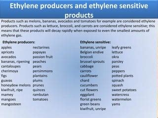 Ethylene filters how do they work | PDF | Agriculture | Industries