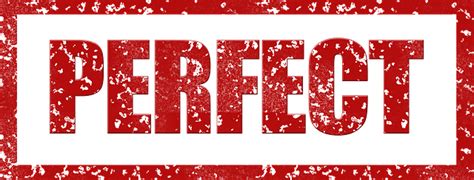 For perfect seared scallops, what visual cues signal a beautiful golden crust?