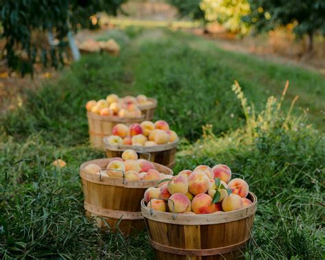 What visual cues reveal an authentic, must-try local eatery?