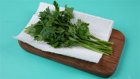 The Paper Towel Trick That Makes Hardy Herbs Last Longer