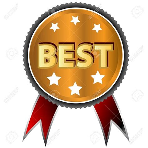 Best quick garnishes for elevating everyday dishes visually?