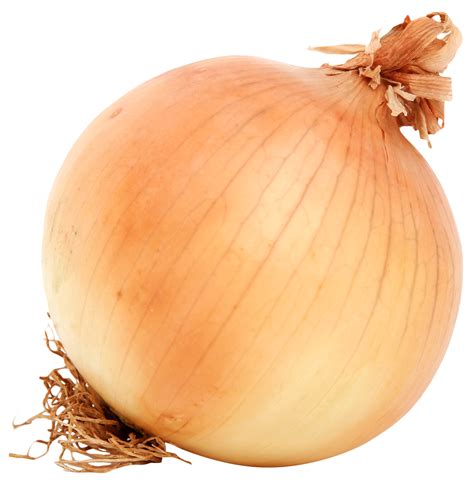 Onion Texture, Layer, Shape PNG Photo
