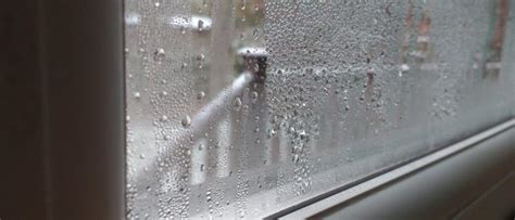What Is Damp and How is it Caused | EnviroVent