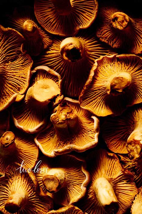 5 Essential Composition Tips For Food Photography