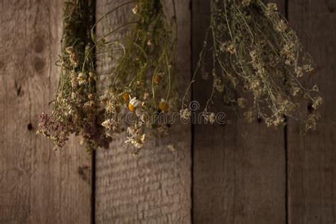 Variety of Dried Herbs Hanging on a Rope, Dried Plants, Herbal Medicine ...