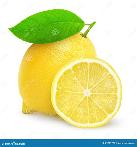Fresh Lemon Stock Photo - Image: 29209760