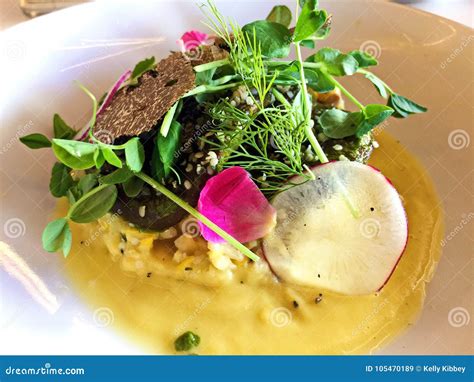 Healthy Plant Based Beautifully Presented Meal Stock Image - Image of ...