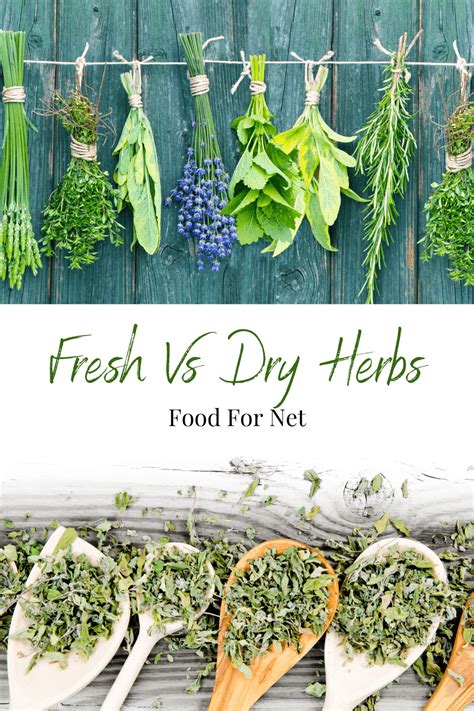 Fresh Vs Dry Herbs: What To Expect &amp; How To Use Them | Food For Net