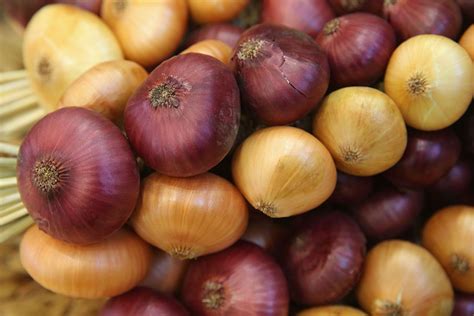 Onions Nutrition Facts: Calories and Health Benefits