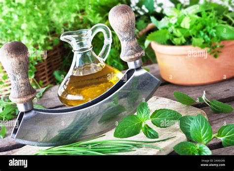 Fresh herbs and chopping knife Stock Photo - Alamy