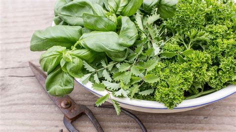 The Best Way To Wash Herbs And Get Rid Of That Gritty Dirt | HuffPost ...