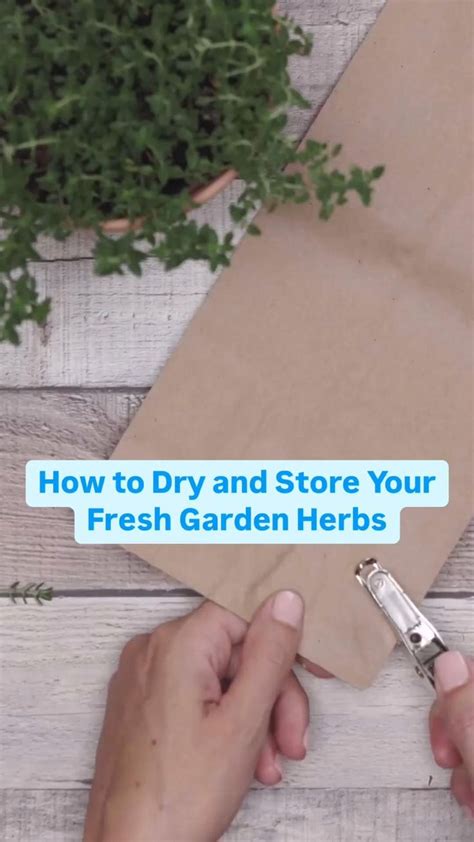 The Best Method for Drying and Storing Fresh Herbs [Video] [Video ...