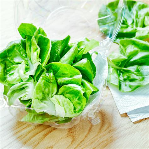 So Fresh and So Green, Green: How to Store Leafy Greens So Fresh & So ...