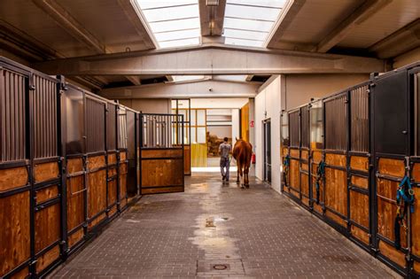 Tour a Modern &amp; Welcoming Stable in Spain - STABLE STYLE