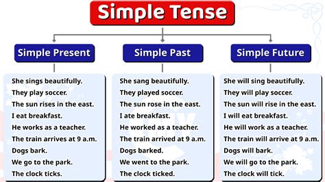 Simple Sentences vs. Simple Tense: Exploring Grammar Basics