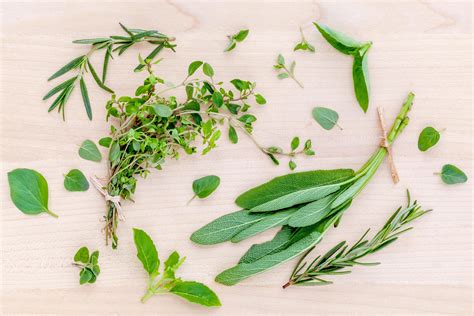 Collection of fresh herbs 2076797 Stock Photo at Vecteezy