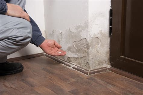 Affordable Damp Proofing in Wigan WN1 1 - Damp Proofing Experts