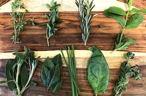 Think Green! The Benefits of Fresh Herbs | Heinen's Grocery Store