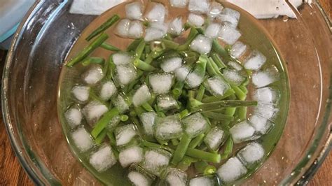 How to Freeze Green Beans (Step-by-Step with Photos) - Stocking My Pantry