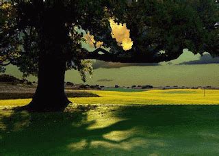 How do you visually assess ingredient quality for truly gourmet recipes?