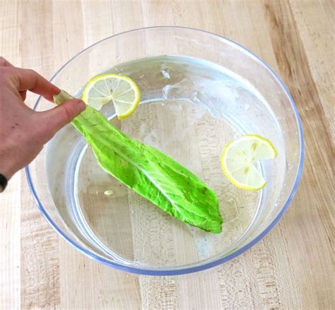 How To: Revive Wilted Greens | 1 Million Women