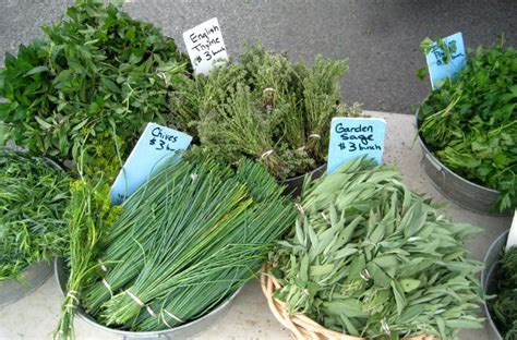 Fresh Herbs for Cooking - A Cook's Guide to Fresh Herbs