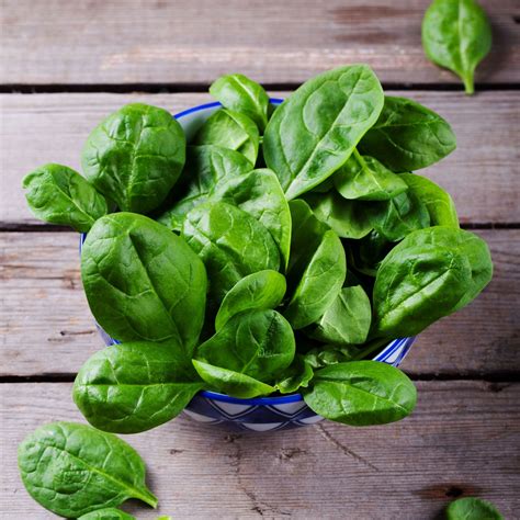 Spinach | Description, Nutrition, Types, &amp; Facts | Britannica