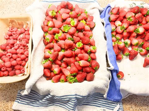 How to keep berries FRESH for weeks! - Flour and Filigree