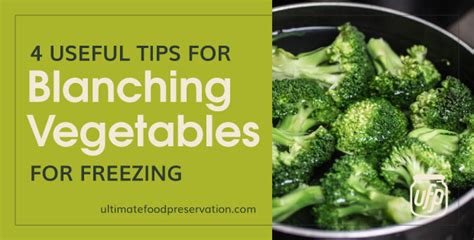 4 Useful Tips for Blanching Vegetables for Freezing - UFP