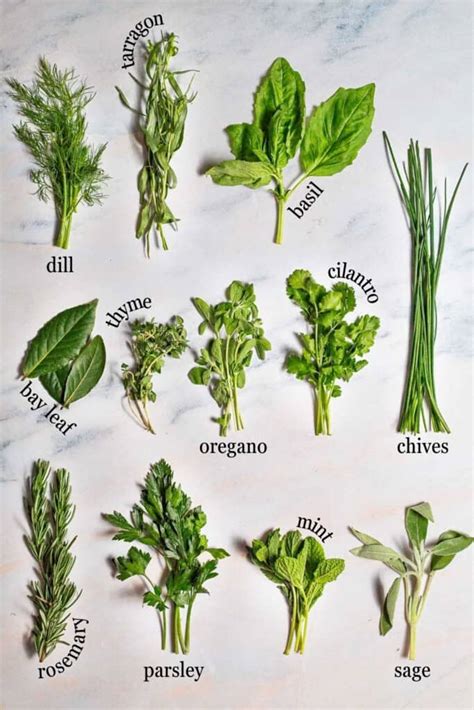 Guide to Fresh Herbs | The Mediterranean Dish
