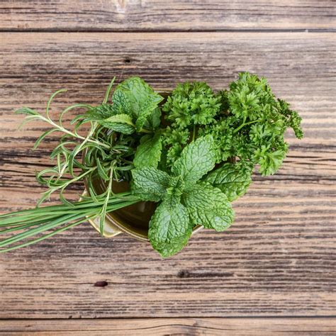 How To Store Fresh Herbs In Water at Danelle Perez blog