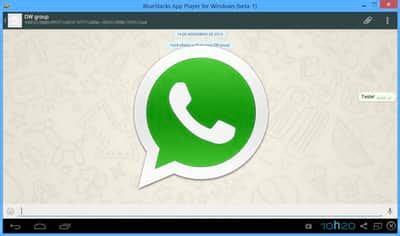 What’s the best way to keep herbs vibrant & fresh for foodie meals?