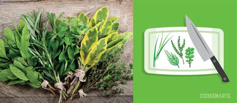 How do real foodies keep delicate fresh herbs vibrant for week-long flavor boosts?