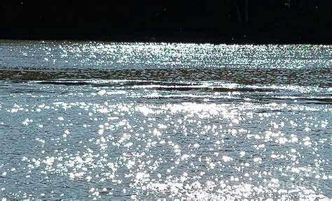 Glistening River Photograph by Amy Pearl - Pixels