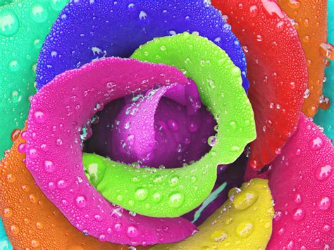 vibrant - définition - What is